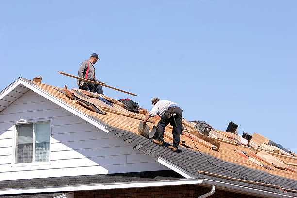 Best Metal Roofing Installation  in Vero Lake Estates, FL